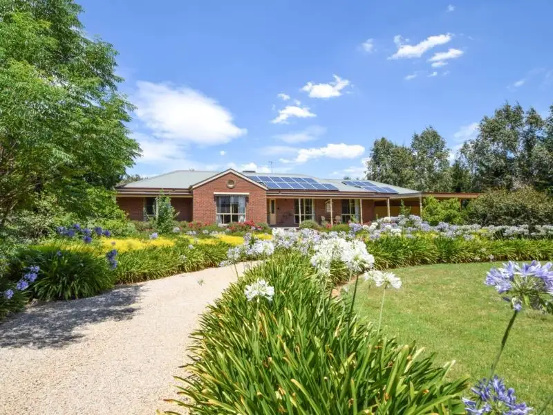 Main view of Homely house listing, 14 McCubbin Place, Wangaratta VIC 3677
