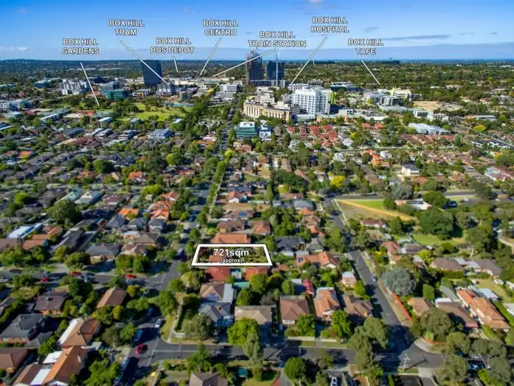 Main view of Homely house listing, 103 Nelson Road, Box Hill North VIC 3129