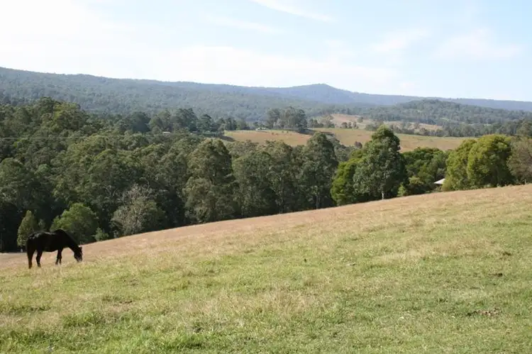Third view of Homely rural property listing, Lot 11 Chichester Dam Road, Dungog NSW 2420
