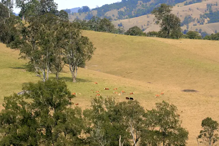 3296 Allyn River Road, Eccleston Via, East Gresford NSW 2311