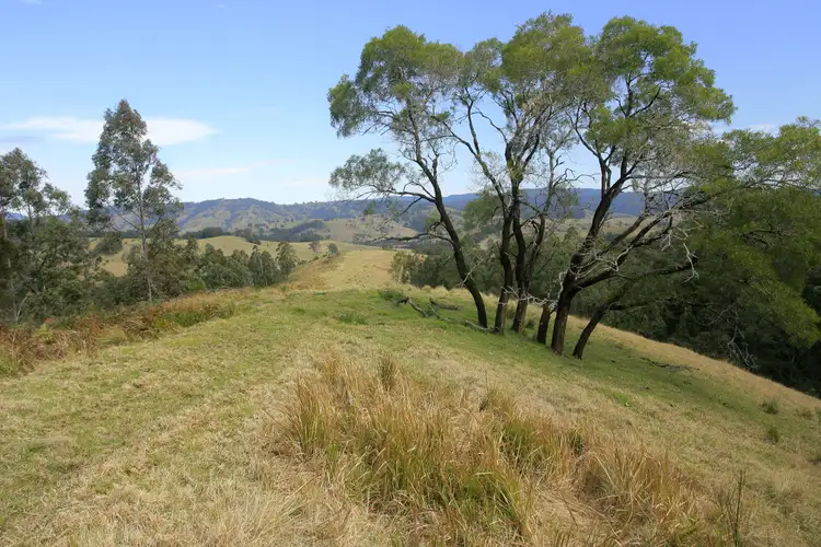 Second view of Homely rural property listing, 3296 Allyn River Road, Eccleston Via, East Gresford NSW 2311