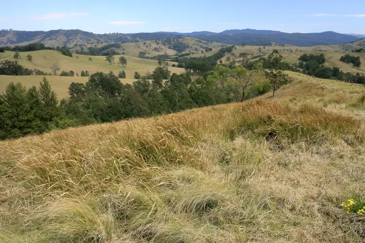 Third view of Homely rural property listing, 3296 Allyn River Road, Eccleston Via, East Gresford NSW 2311