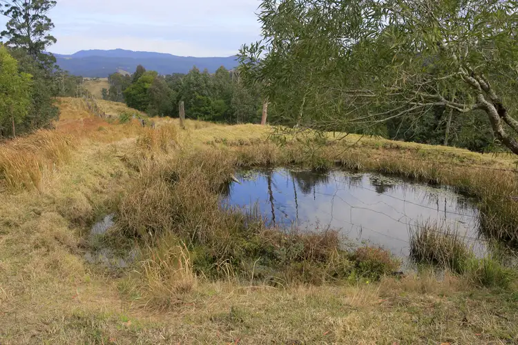 Fifth view of Homely rural property listing, 3296 Allyn River Road, Eccleston Via, East Gresford NSW 2311