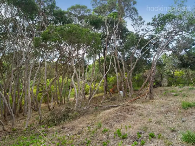 Sixth view of Homely land listing, 373 Browns Road, Rye VIC 3941