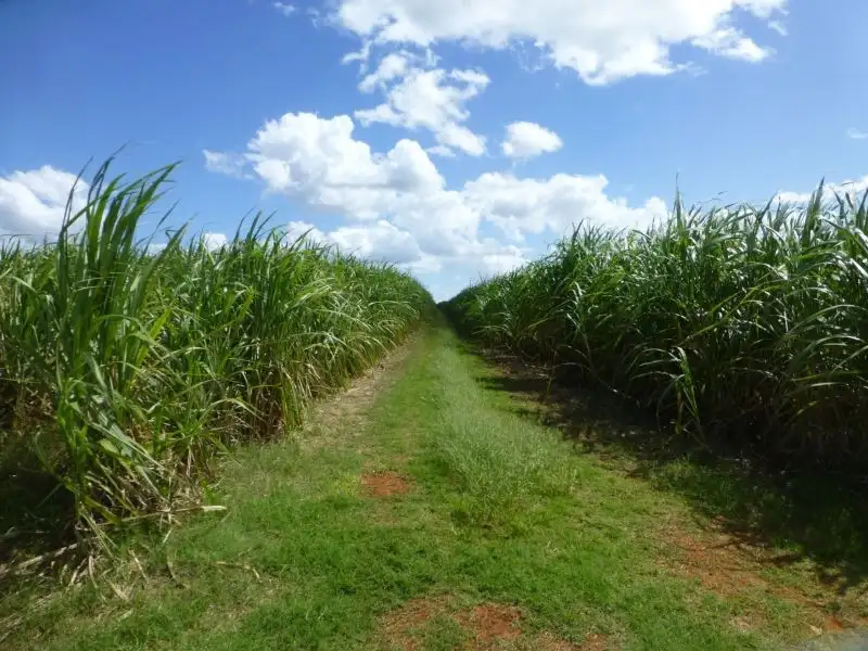 Main view of Homely rural property listing, Address available on request