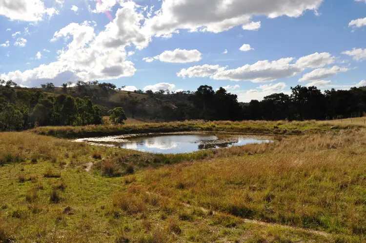 Main view of Homely rural property listing, 2095 Lower Piambong Road, Piambong NSW 2850