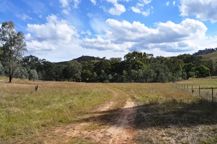Second view of Homely rural property listing, 2095 Lower Piambong Road, Piambong NSW 2850