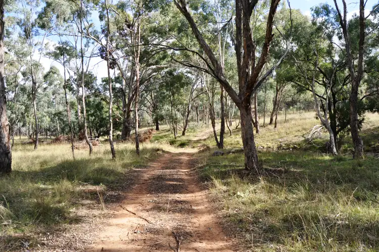 Third view of Homely rural property listing, 2095 Lower Piambong Road, Piambong NSW 2850