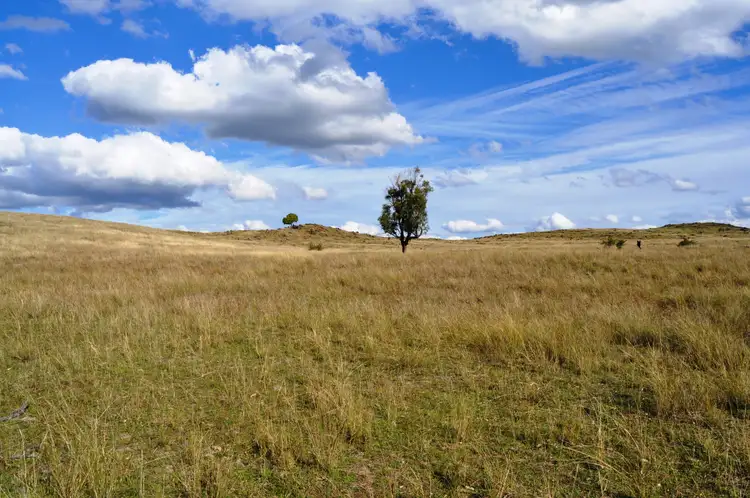 Fifth view of Homely rural property listing, 2095 Lower Piambong Road, Piambong NSW 2850