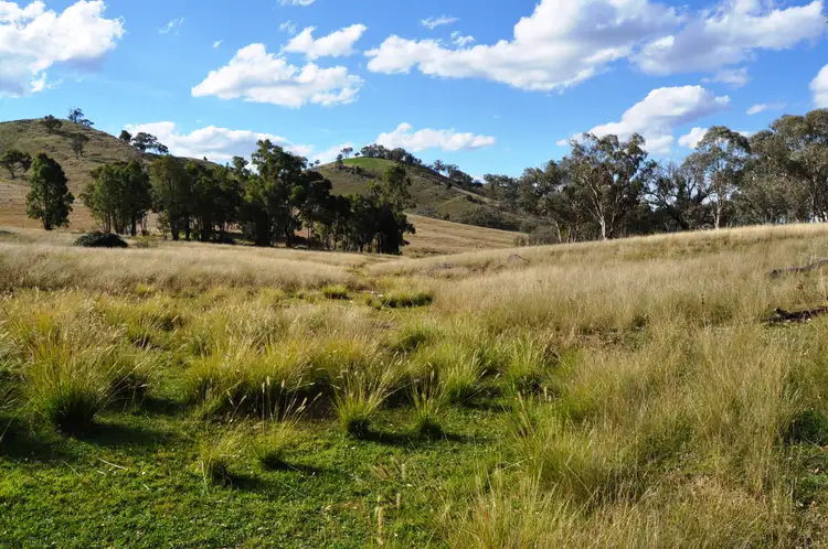Sixth view of Homely rural property listing, 2095 Lower Piambong Road, Piambong NSW 2850