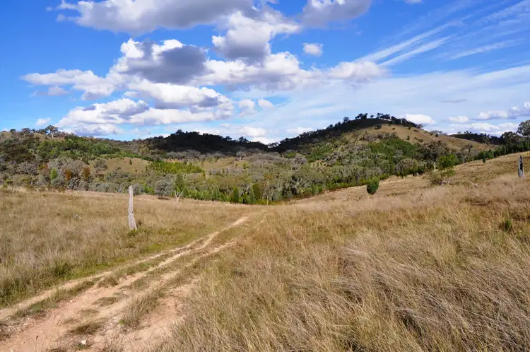 Seventh view of Homely rural property listing, 2095 Lower Piambong Road, Piambong NSW 2850