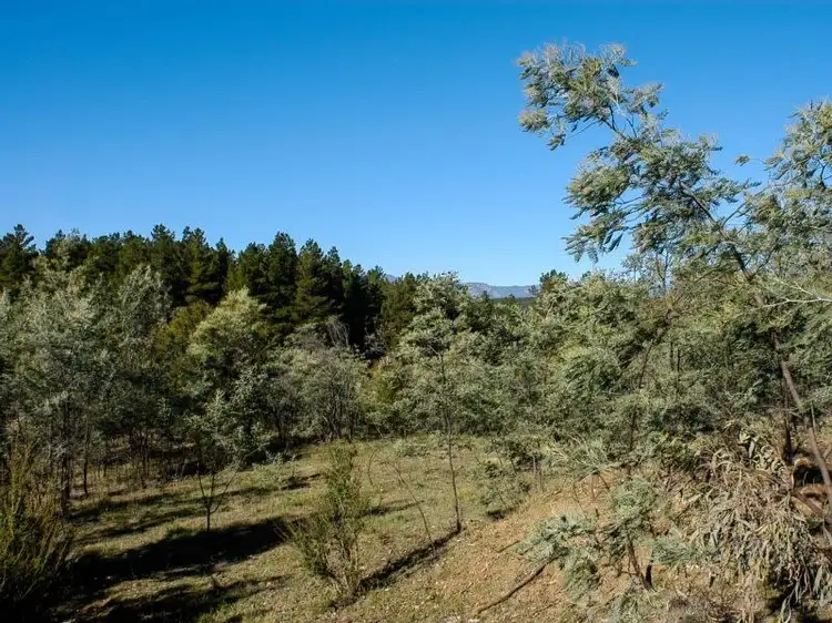 Main view of Homely rural property listing, Dodgsons Lane, Carboor VIC 3678