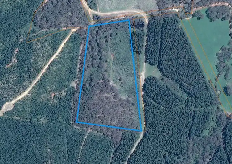 Fifth view of Homely rural property listing, Dodgsons Lane, Carboor VIC 3678