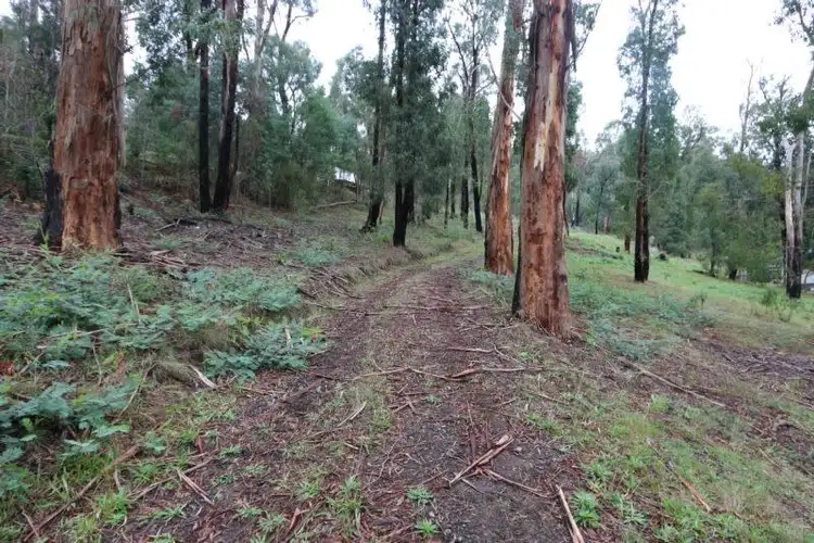 Seventh view of Homely land listing, 14 Silver Parrot Road, Flowerdale VIC 3717