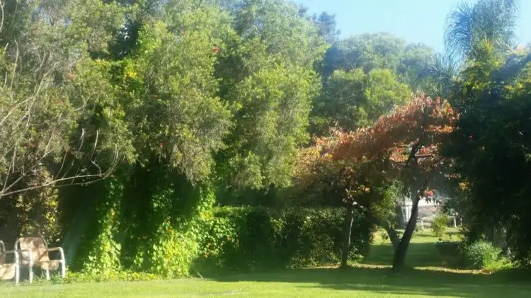 Sixth view of Homely rural property listing, 347 Glen Martin Road, Clarence Town NSW 2321