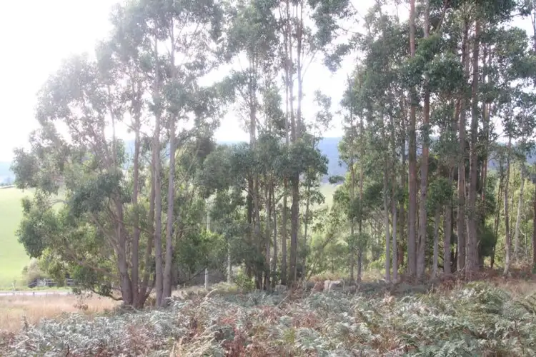 Fifth view of Homely land listing, 363 Melrose Road, Eugenana TAS 7310