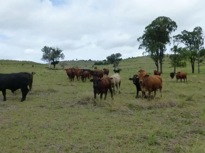 Main view of Homely rural property listing, Address available on request
