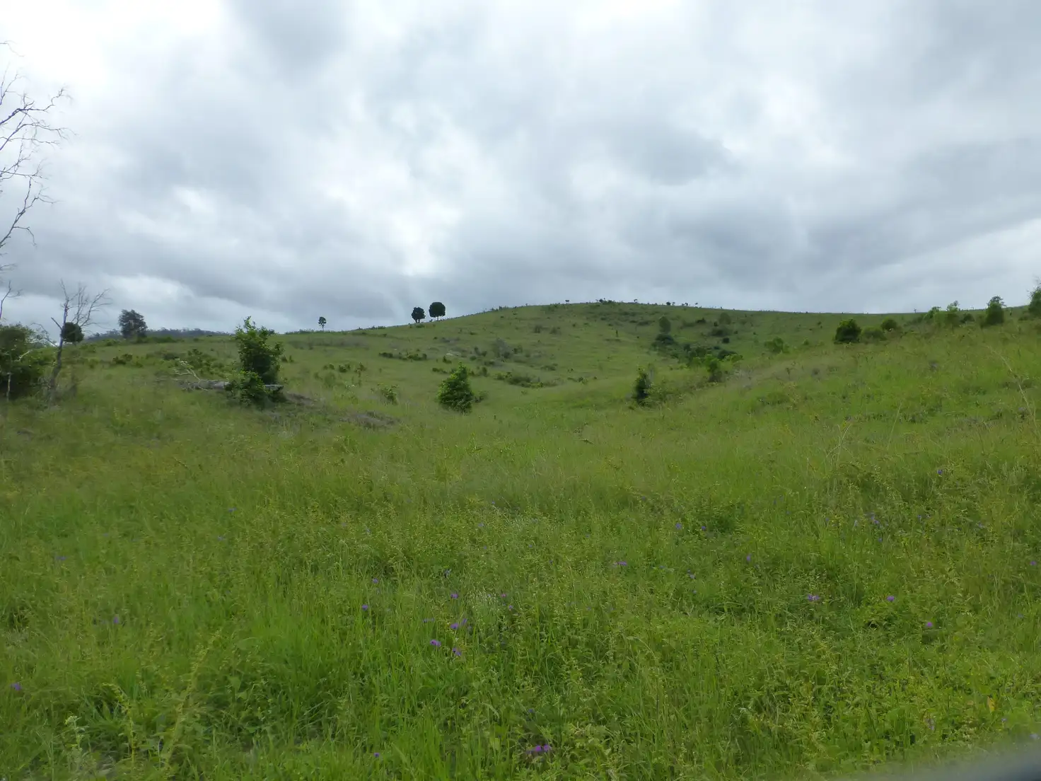 Main view of Homely rural property listing, Address available on request