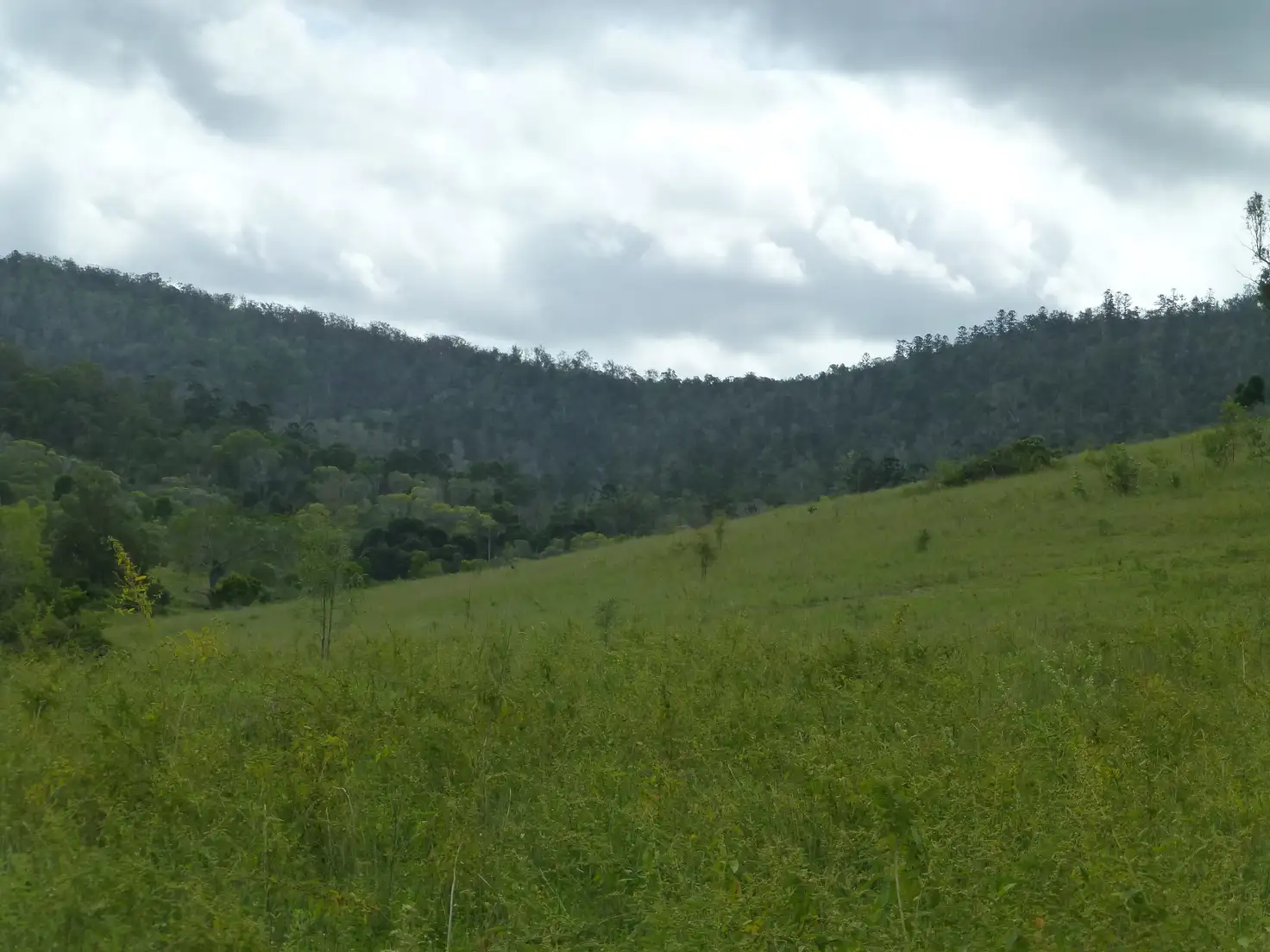 Main view of Homely rural property listing, Address available on request