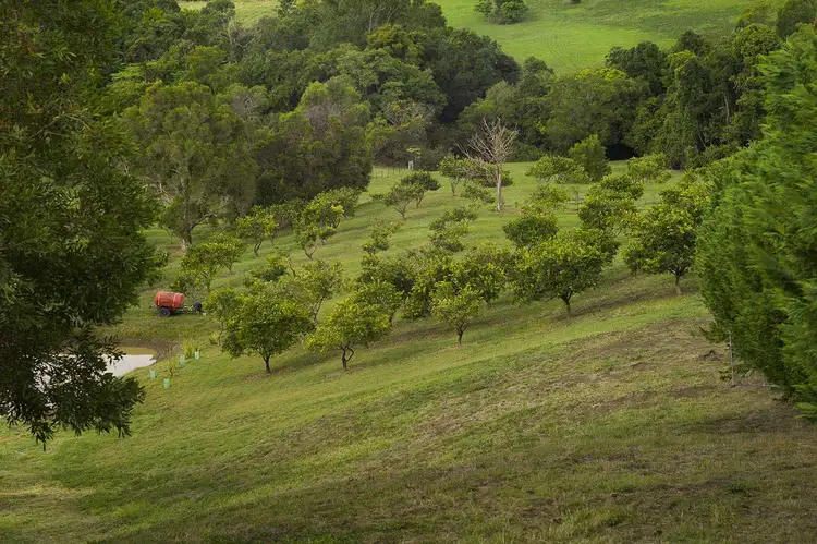 Main view of Homely rural property listing, 39 Philipps Road, Dulong QLD 4560
