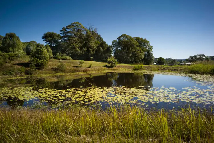 Sixth view of Homely rural property listing, 39 Philipps Road, Dulong QLD 4560