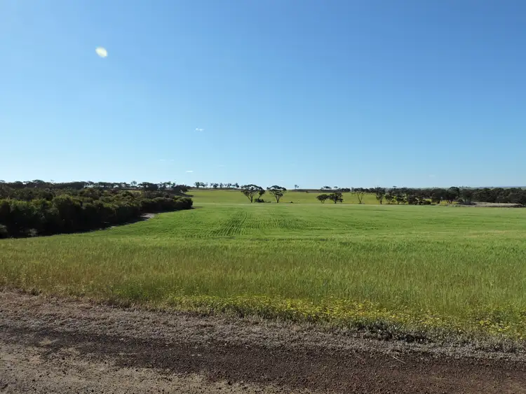 Seventh view of Homely rural property listing, 478 TOAPIN ROAD DUBELLING WA, Quairading WA 6383