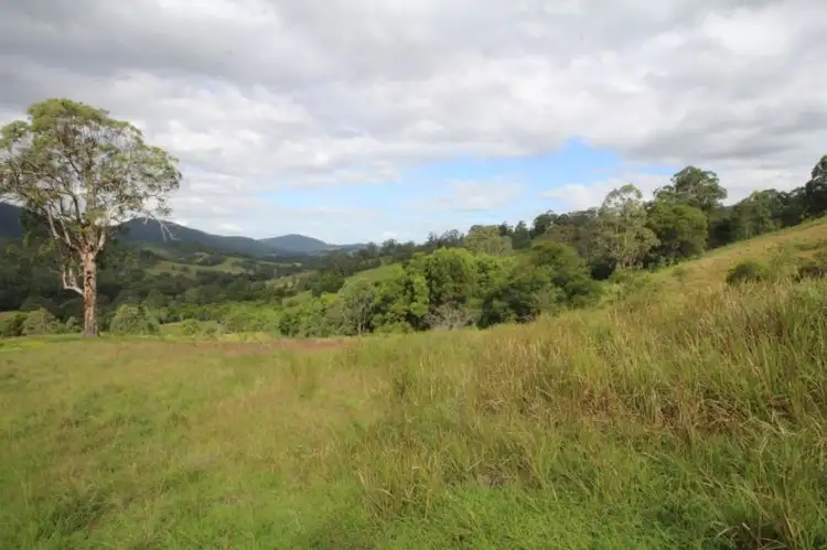 Second view of Homely rural property listing, 1312 Chichester Road UPPER CHICHESTER VIA, Dungog NSW 2420
