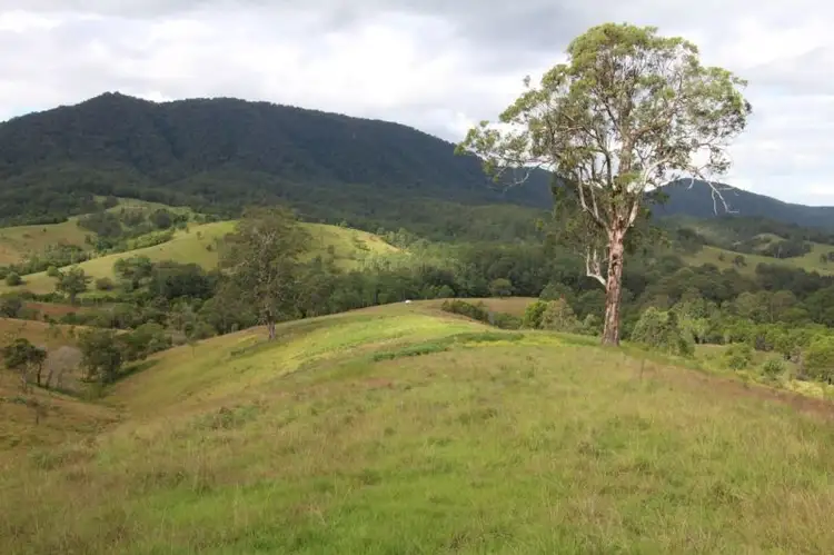 Fourth view of Homely rural property listing, 1312 Chichester Road UPPER CHICHESTER VIA, Dungog NSW 2420