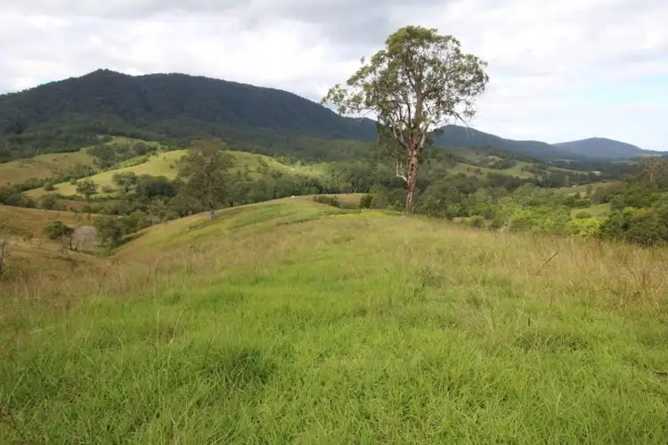 Sixth view of Homely rural property listing, 1312 Chichester Road UPPER CHICHESTER VIA, Dungog NSW 2420