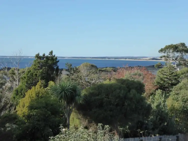 Seventh view of Homely house listing, 39 Elizabeth Street, Bridport TAS 7262