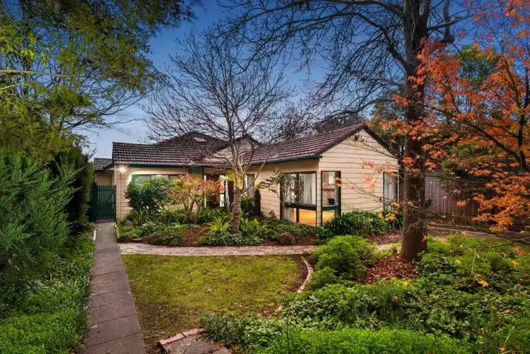 43 Rose Street, Box Hill VIC 3128