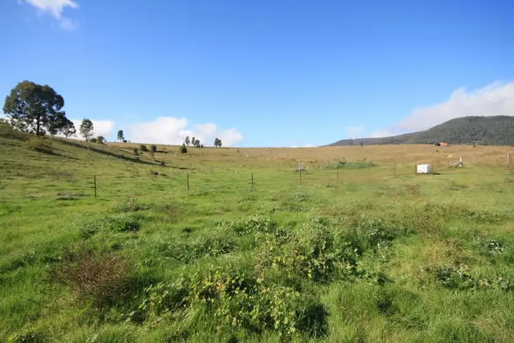 Fifth view of Homely land listing, 478 Sandy Creek Road, Muswellbrook NSW 2333