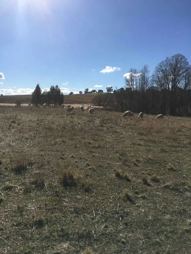 Second view of Homely land listing, 32 Rosamel Street, Gundaroo NSW 2620