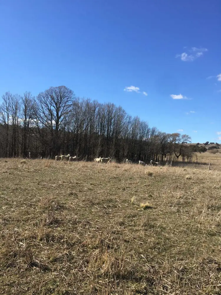 Third view of Homely land listing, 32 Rosamel Street, Gundaroo NSW 2620