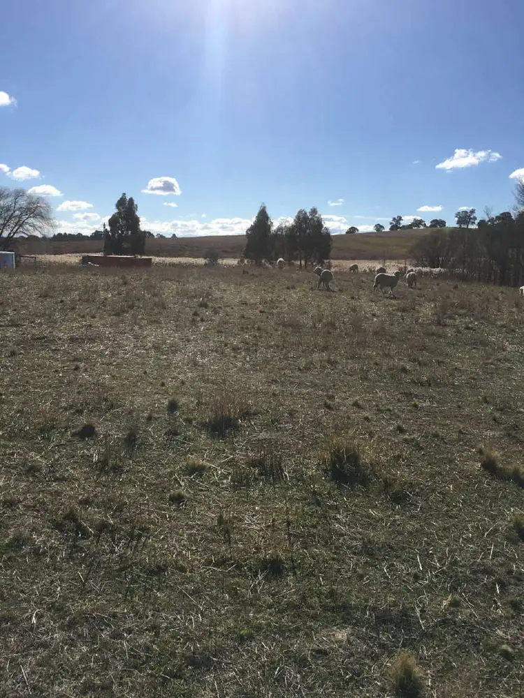Fourth view of Homely land listing, 32 Rosamel Street, Gundaroo NSW 2620