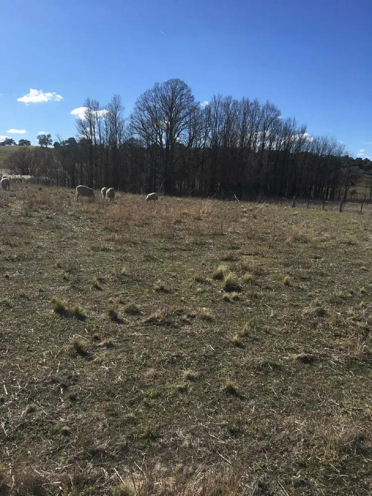 Fifth view of Homely land listing, 32 Rosamel Street, Gundaroo NSW 2620