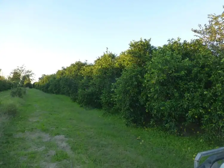 Seventh view of Homely rural property listing, Address available on request