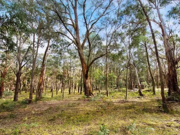 130 Whitegum Drive, Wheatsheaf VIC 3461