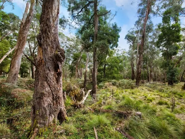 Sixth view of Homely land listing, 130 Whitegum Drive, Wheatsheaf VIC 3461