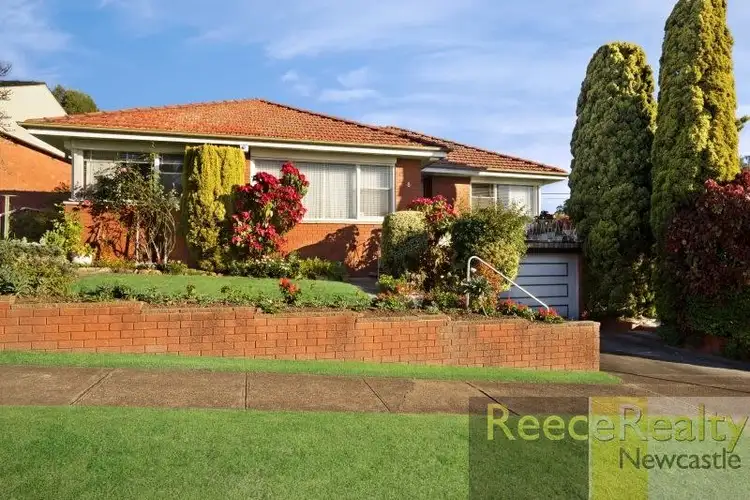 8 Hansen Place, Shortland NSW 2307