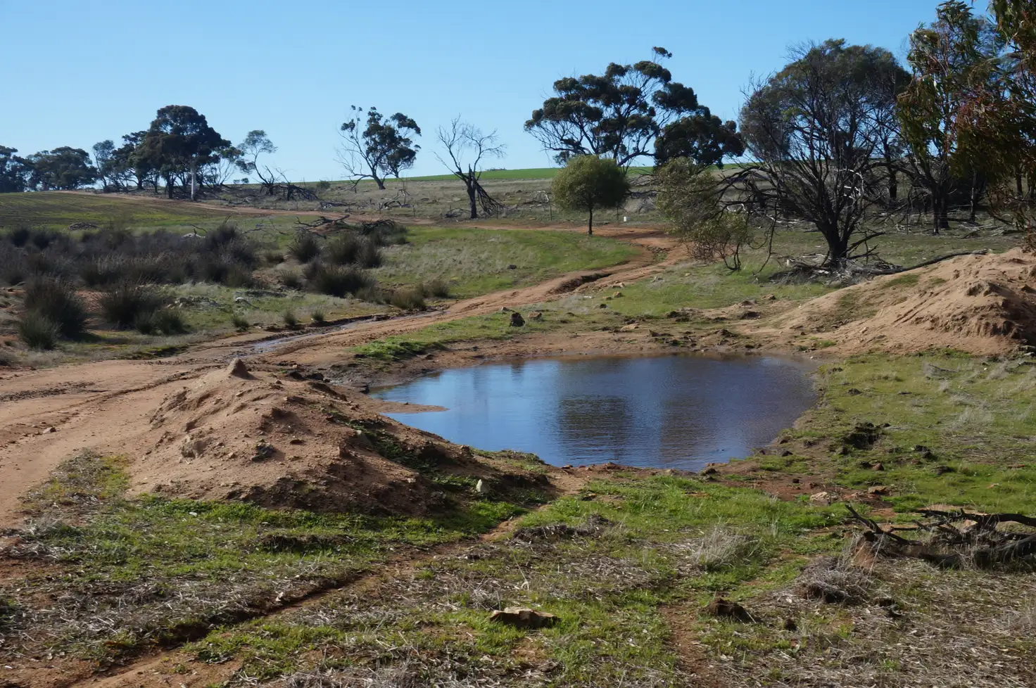 Main view of Homely rural property listing, LOT 45 Osborne Road, York WA 6302