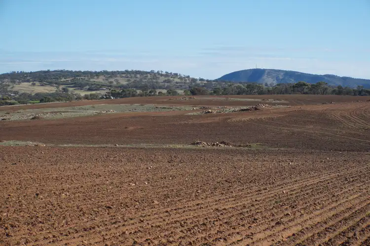 Seventh view of Homely rural property listing, LOT 45 Osborne Road, York WA 6302