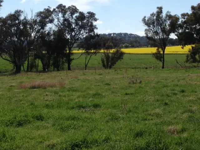 Sixth view of Homely rural property listing, Old Cootamundra Road, Cootamundra NSW 2590