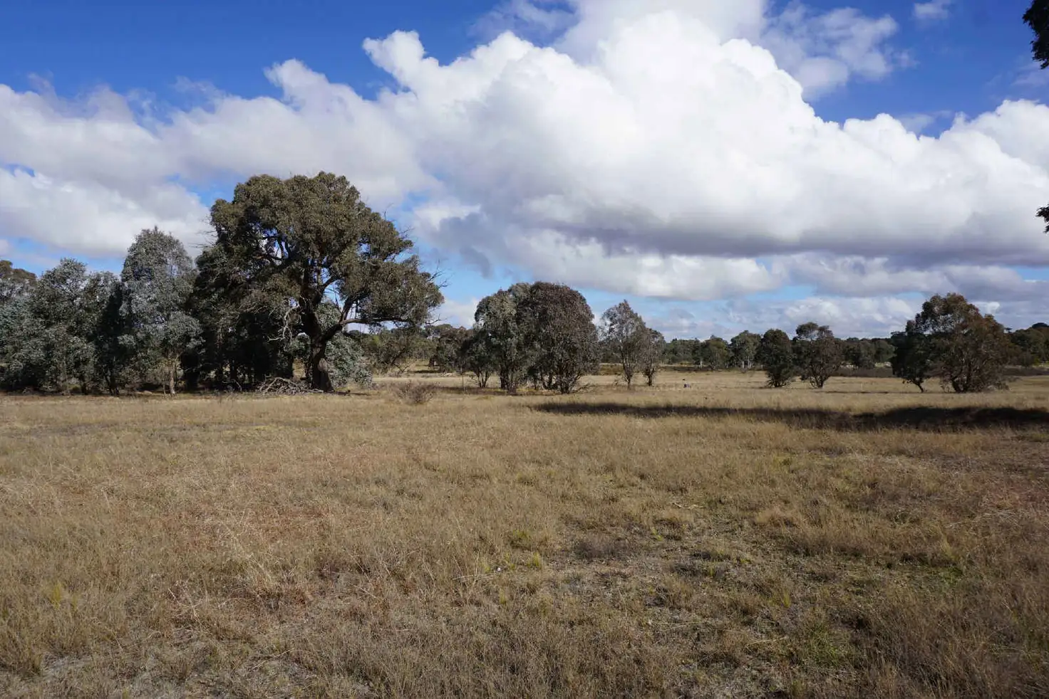 Main view of Homely land listing, 2, 274 Back Creek Road, Gundaroo NSW 2620