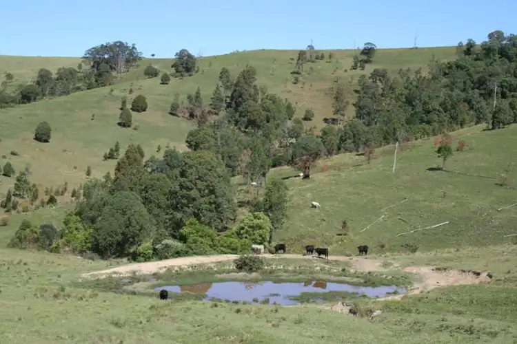 Sixth view of Homely rural property listing, 114 Germons Road, MARSHDALE Via, Dungog NSW 2420