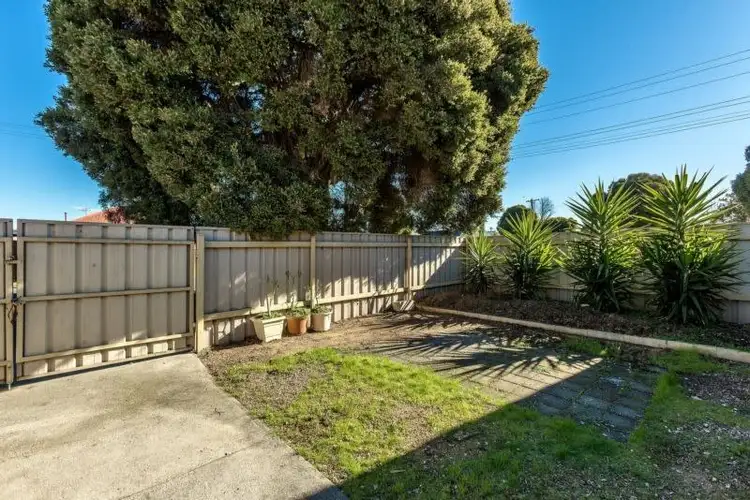 Second view of Homely unit listing, 1/488 Danes Street, Lavington NSW 2641