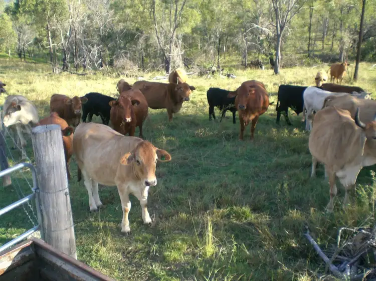 Seventh view of Homely rural property listing, Lot 80 and Heights Road, Mount Perry QLD 4671