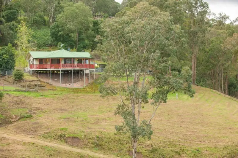 Main view of Homely house listing, 352 Duns Creek Road, Duns Creek NSW 2321
