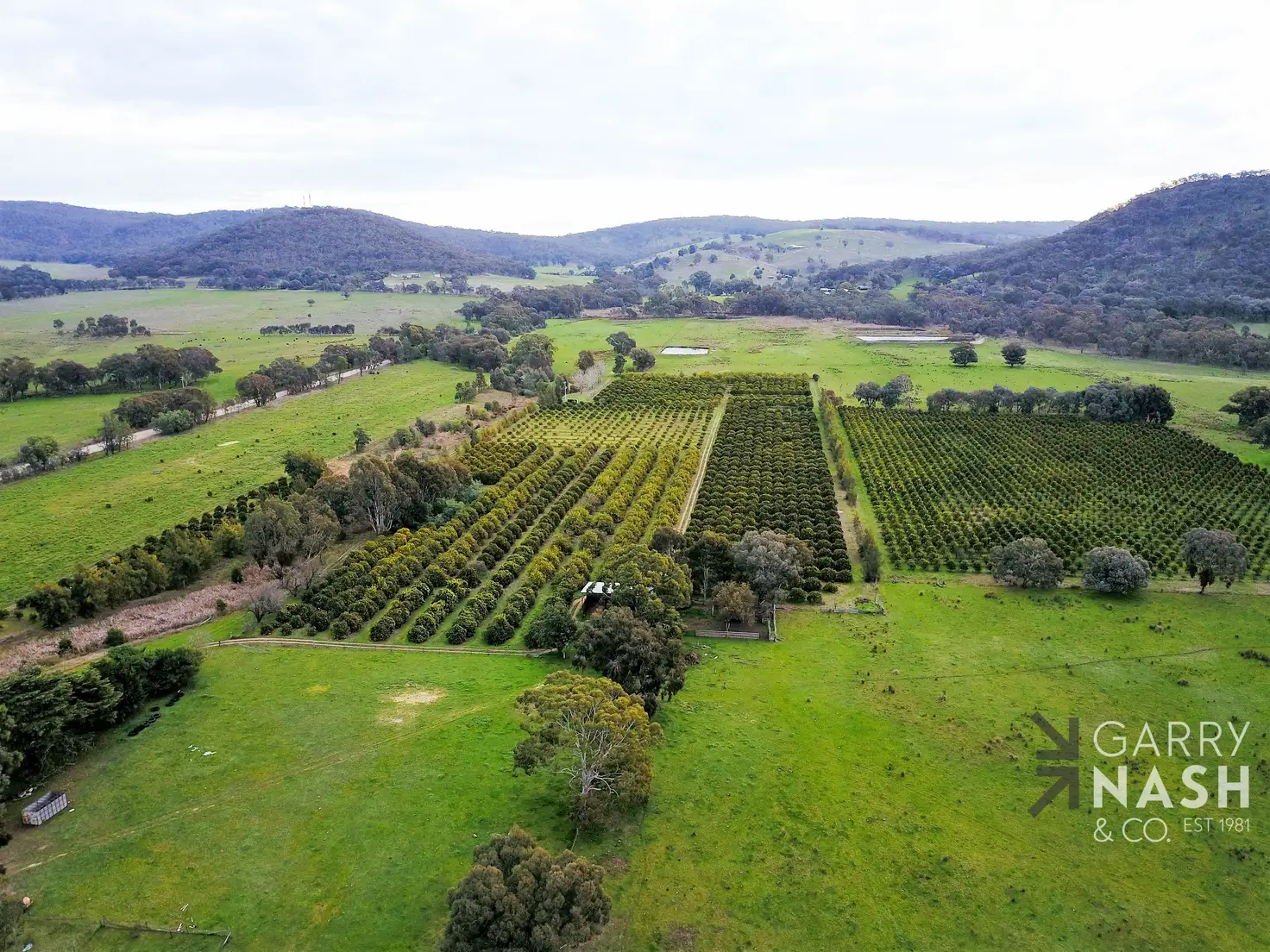 Main view of Homely rural property listing, 493-495 Warby Range Road, Wangaratta South VIC 3678