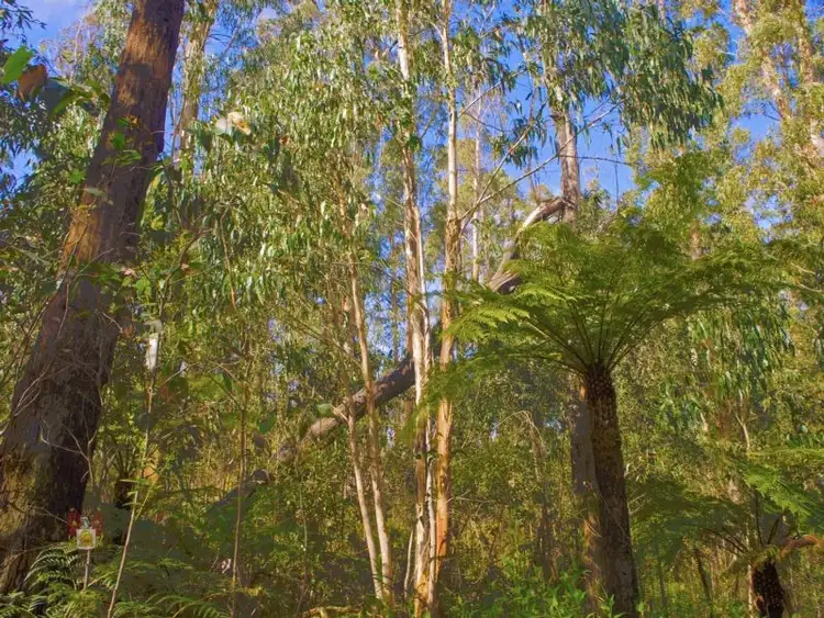 Seventh view of Homely land listing, 15 Outlook Road, Kinglake VIC 3763